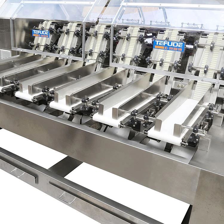 chocolate stick biscuits automatic counting loading machine grissini breadsticks count and pack machine manufacturing