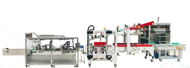 Full Automatic Case Packing Production Line