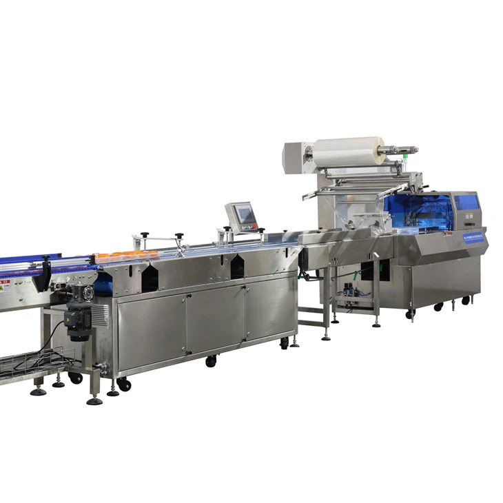 Box motion, flow packing machine