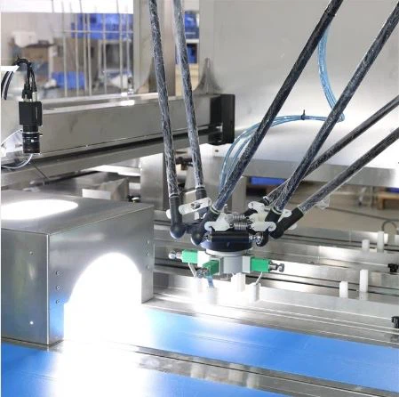 Automatic Feeding & Pallet Loading Packaging Line With Robotic Arm