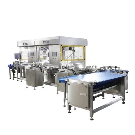 Automatic Feeding & Pallet Loading Packaging Line With Robotic Arm